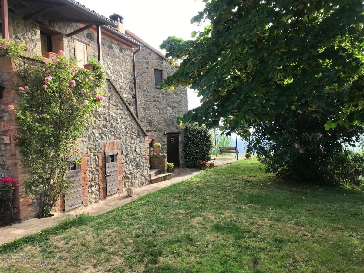 Podere Porcino Civitella d'Agliano Exterior photo