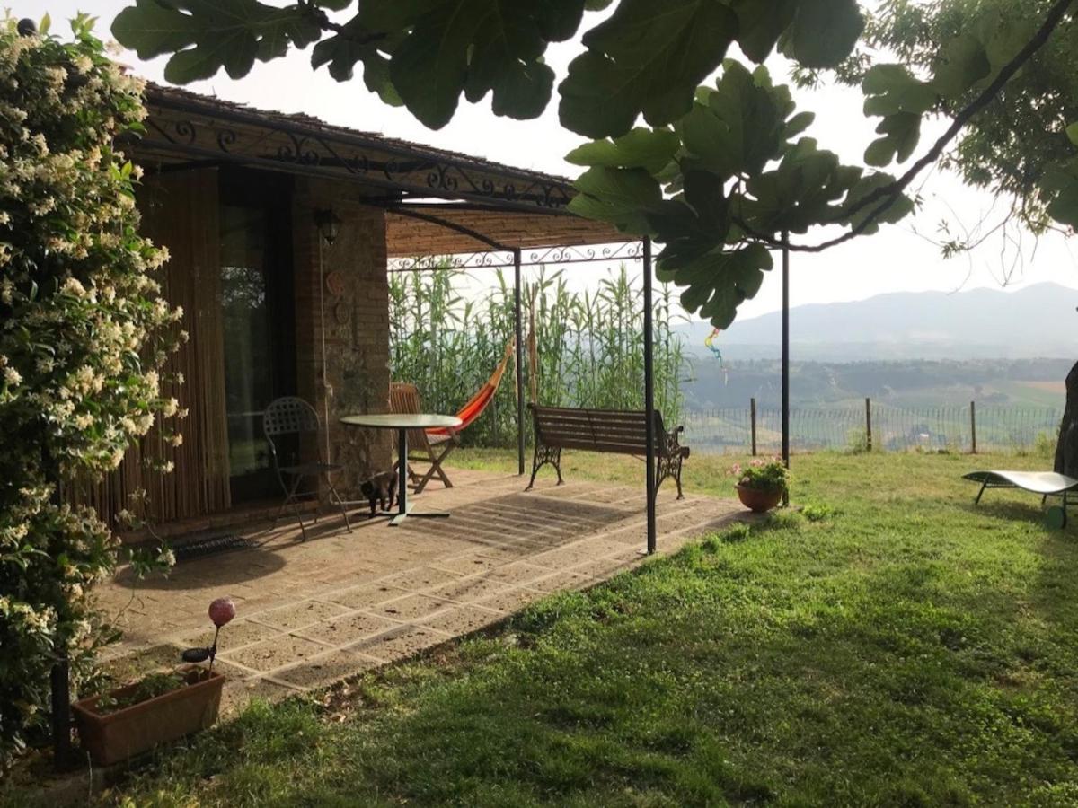 Podere Porcino Civitella d'Agliano Exterior photo