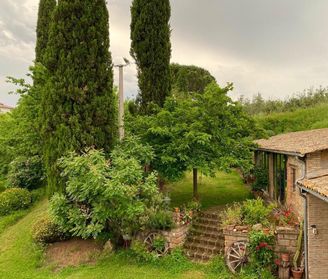 Podere Porcino Civitella d'Agliano Exterior photo