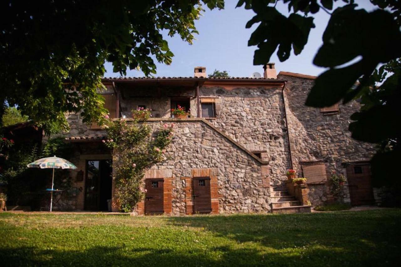 Podere Porcino Civitella d'Agliano Exterior photo