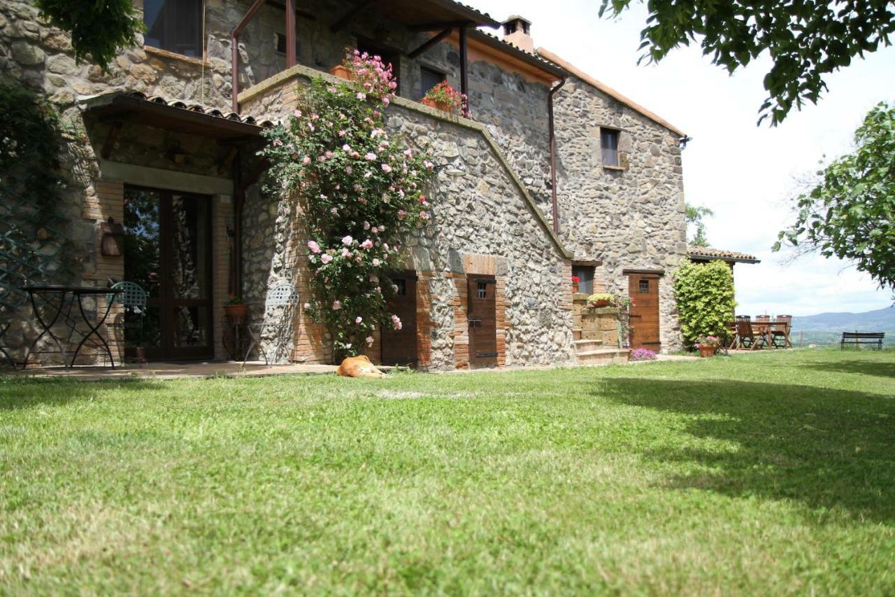 Podere Porcino Civitella d'Agliano Exterior photo