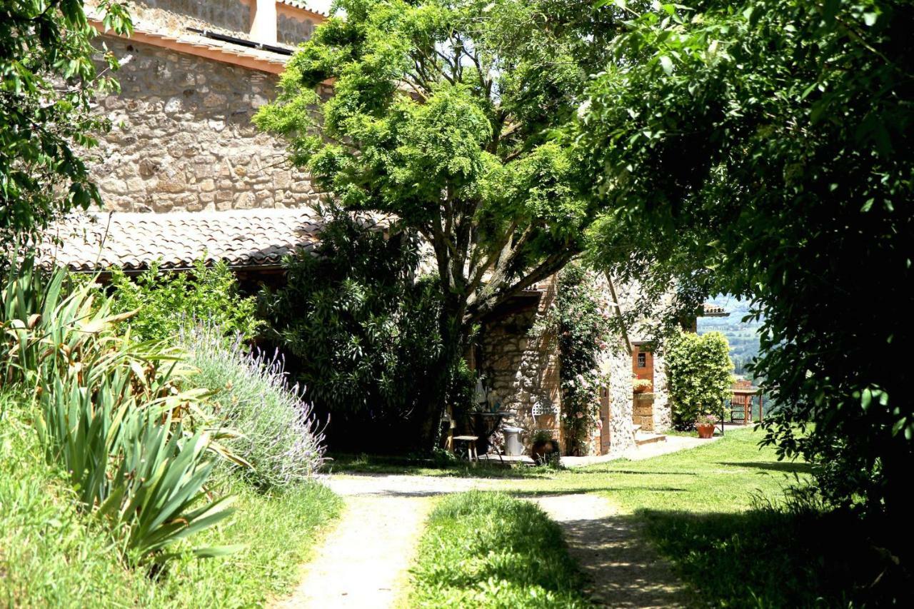 Podere Porcino Civitella d'Agliano Exterior photo