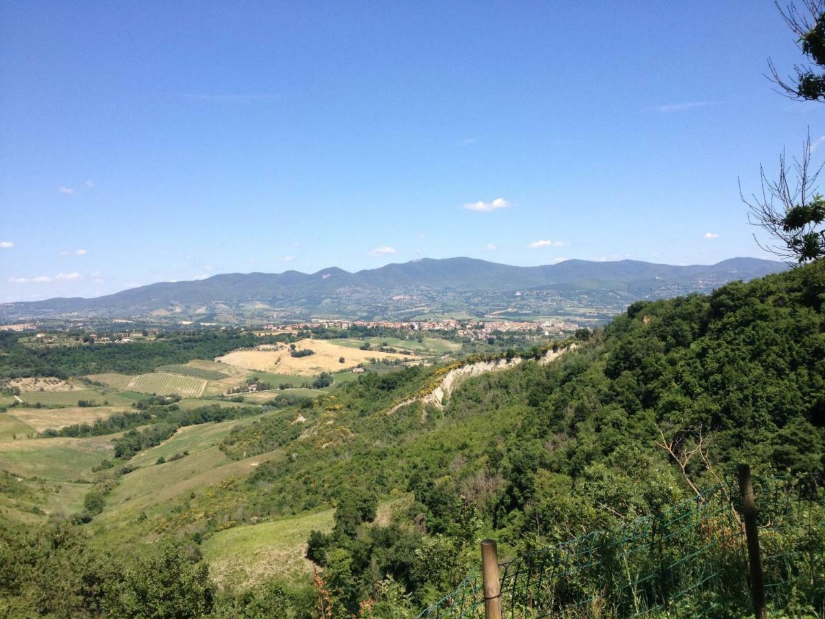 Podere Porcino Civitella d'Agliano Exterior photo