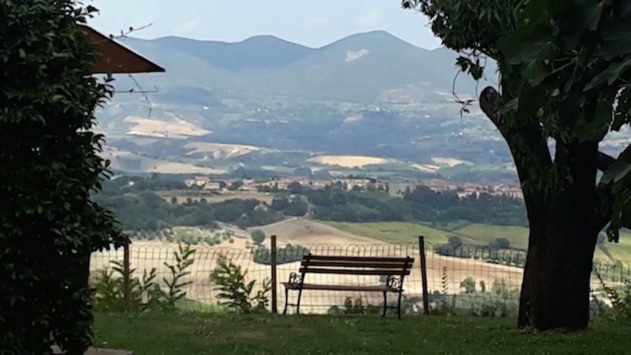 Podere Porcino Civitella d'Agliano Exterior photo